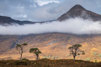 Glen Affric contains some of the largest fragments of Caledonian pine forest remaining in Scotland.