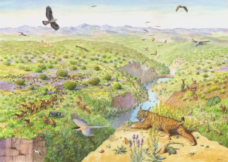 Artist's vision of the Western Iberia rewilding area.
