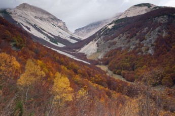 Autumnal foliage colors in the Macchialung valley in eastern Majella