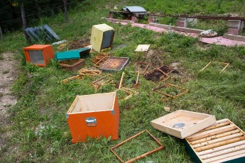 Bear damage to beehives. Central Apennines, Abruzzo, Italy. 2014