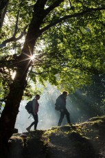 Young women hiking in the morning in old beechwood near Pescasseroli. Abruzzo, Lazio and Molise National Park. Abruzzo, Italy. August 2014