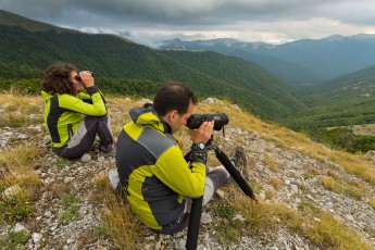 Umberto Esposito, mountain guide and CEO at Wildlife Adventures, leading a bear-watching excursion in Central Apennines rewilding area, Italy.