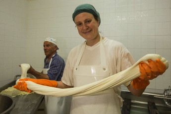 Cheese making in the organic farm "La Grancia di San Domenico" in Villetta Barrea. Abruzzo, Lazio and Molise NP. Abruzzo, Italy. Sep 2014