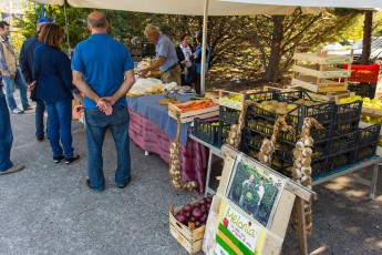 Moments of Milonia, apple and bear fest in Ortona dei Marsi, October 2014. Event supported by Rewilding Apennines.