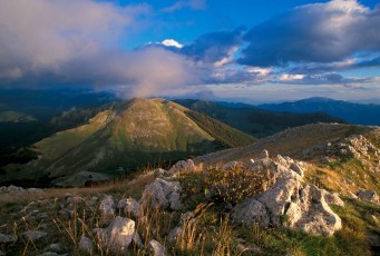 Central Apennines rewilding area, Abruzzo, Italy.