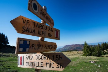 Wooden signposts for hiking trails in Tarcu Mountains at the meteorological station of Cuntu, Southern Carpathians, Romania