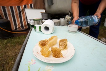 Honeycomb is a mass of hexagonal wax cells built by honey bees in their nests to contain their larvae and stores of honey and pollen