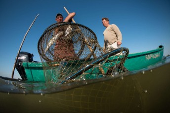 Traditional fishing with fyke net