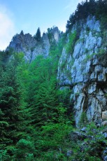 Crovul valley gorge, Carpathian Mountains, Romania