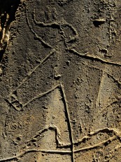 Rock engravings in the Coa valley archeological reserve, Portugal