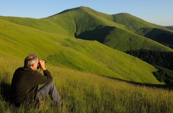 Alpine grasslands in the Tarku mountains, Southern Carpathians, Romania