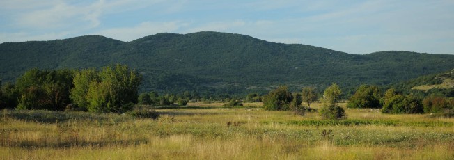 Abandoned farmland, due to globalisation, socio-cultural reasons, the Bosnian war and minefields from it, Velebit Nature Park, Dalmatian coast, Croatia