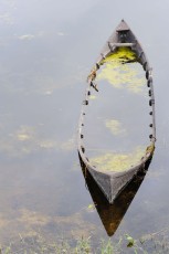 Sunken boat in Crisan commune, Romania