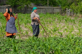 Letea village, Romania