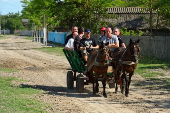 Horse wagon trip in Letea village, Romania