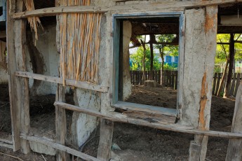 Land abandonment results in Letea village, Romania