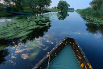 Boat trip in the Danube delta rewilding area, Romania