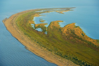 Aerials over the Danube delta rewilding area, Romania