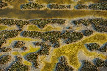 Aerials over the Danube delta rewilding area, Romania