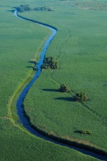 Aerials over the Danube delta rewilding area, Romania