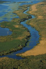 Aerials over the Danube delta rewilding area, Romania