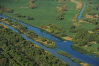 Aerials over the Danube delta rewilding area, Romania