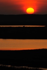 Sunrise over the Danube delta rewilding area, Romania