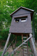 Wildlife watching place, North Velebit National Park