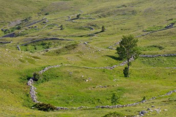 Abandoned grazing lands, now only for summer cottages, North Velebit National Park