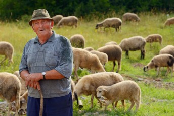 Shepherd, Velebit Nature Park