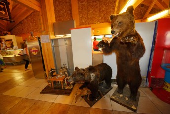 Wildlife is popular as symbols, Velebit Nature Park