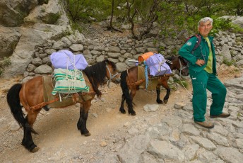 Park ranger with pack mules on the main trail, Paklenica National Park