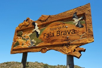Faia Brava reserve in the Western Iberia rewilding area, Portugal