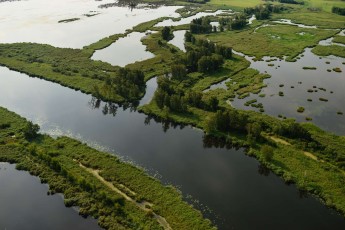 Peene river and flooded lands near Anklamer Stadtbruch, Germany
