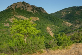 The hills of the Madzharovo canyon in the Rhodope Mountains