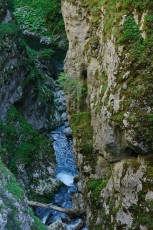 Trigrad gorge in the Rhodope Mountains