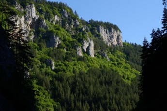 Trigrad gorge in the Rhodope Mountains