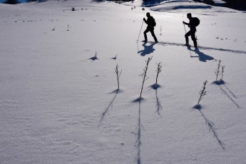 Snowshoeing adventure in Lapland rewilding area, Sweden.