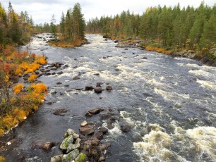 Varjisån - a tributary of the Pite river