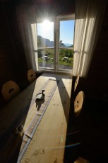 STF Saltoluokta Fjällstation mountain lodge