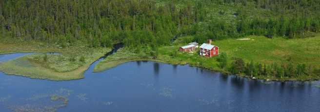 Peat bog lands and taiga boreal forest, Sjaunja Bird Protection Area, Lapland, Sweden.
