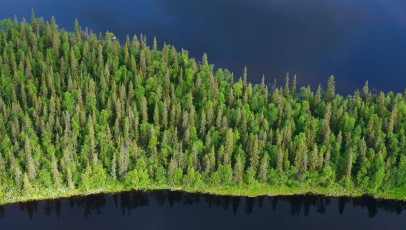 Peat bog lands and taiga boreal forest, Sjaunja Bird Protection Area, Lapland, Sweden.