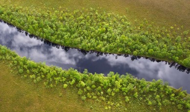 Peat bog lands and taiga boreal forest, Sjaunja Bird Protection Area, Lapland