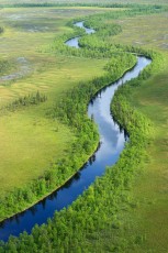 Peat bog lands and taiga boreal forest, Sjaunja Bird Protection Area, Lapland.