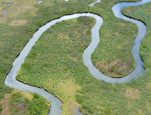 European Rewilding Network members came together to discuss the restoration and rewilding of river systems.