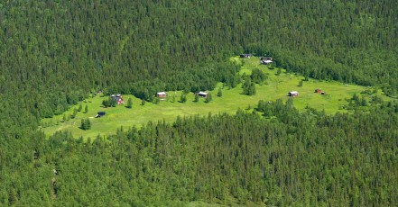 The famous Rapa river delta, Sarek National Park