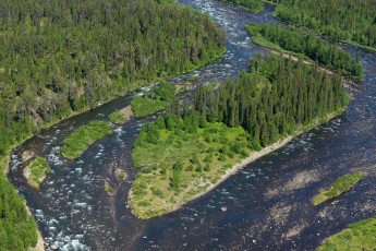 Peat bog lands and taiga boreal forest, Sjaunja Bird Protection Area, Lapland.