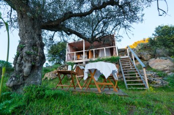 One of the examples of successful nature-based businesses is the Star Camp in Portugal, which directly contributes to local conservation and the upkeep of the Faia Brava Nature Reserve (part of the Western Iberia rewilding area) through a "per guest fee".