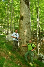 Professor Joso Vukelić (left) and his colleague Stjepan Mikac (right) in Velebit rewilding area.