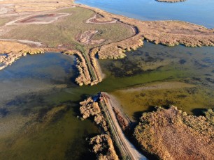 Dam removal in the Ukrainian part of the Danube Delta in 2019.